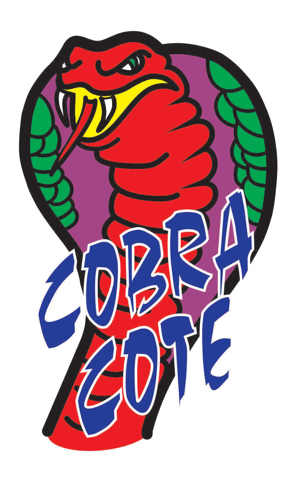 Cobra Cote Ocean Breeze Automotive Vinyl Protection Anti Static Formula 250G Aerosol