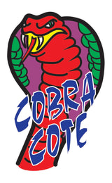 Cobra Cote Ocean Breeze Automotive Vinyl Protection Anti Static Formula 250G Aerosol