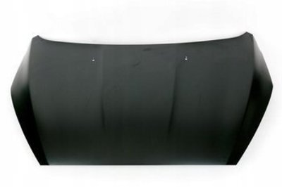 Hood PF1EBA16610AA For Ford