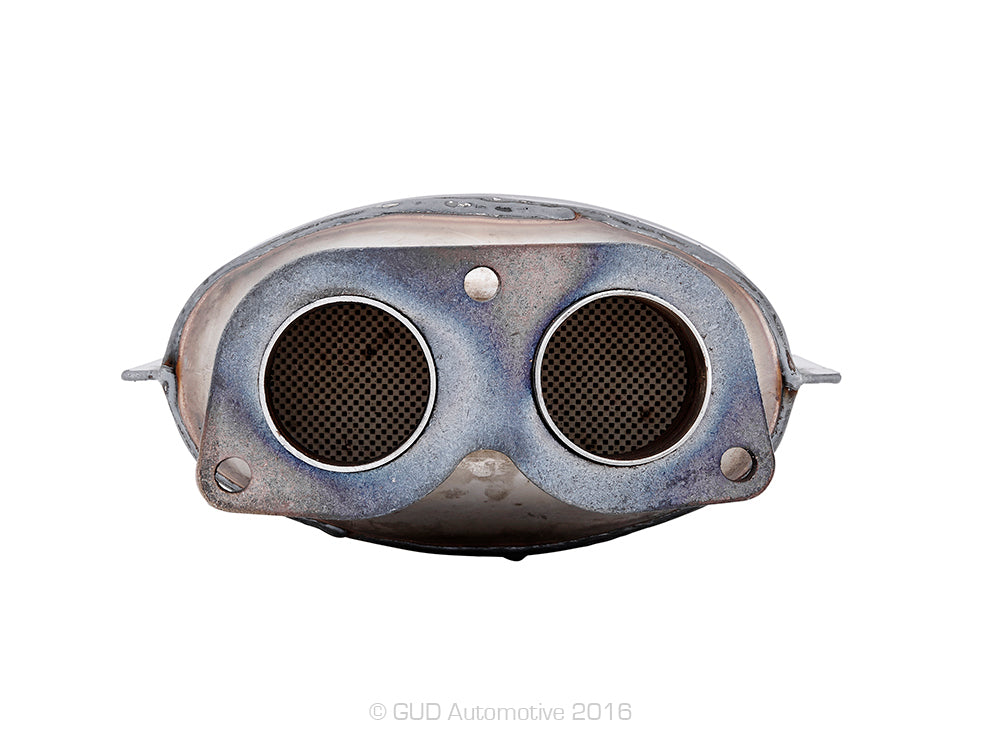 Diesel Particulate Filter DPF Ryco RPF218