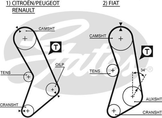 Timing Belt  Gates T018