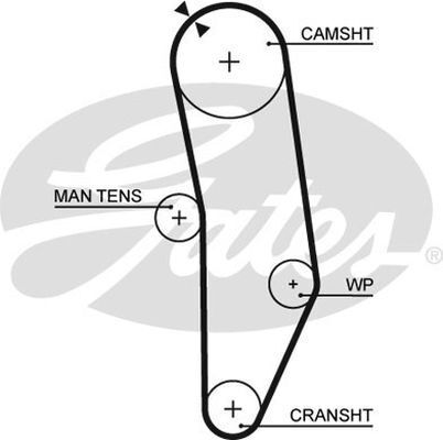 Timing Belt