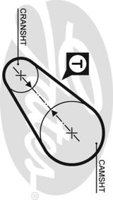 PowerGrip Belt