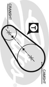 PowerGrip Belt