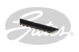 Timing Belt