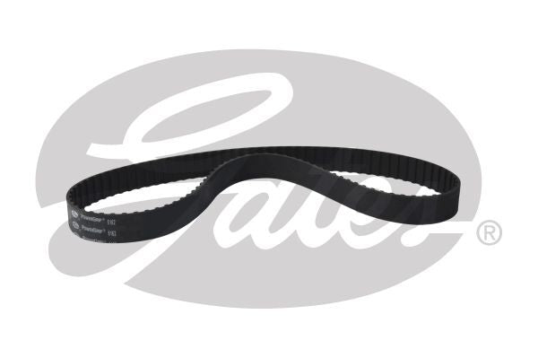 PowerGrip Belt