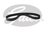 PowerGrip Belt