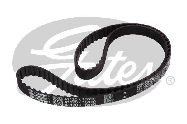 Timing Belt  Gates T064