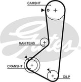 Timing Belt  Gates T064