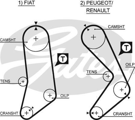 Timing Belt  Gates T069