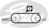 PowerGrip Belt