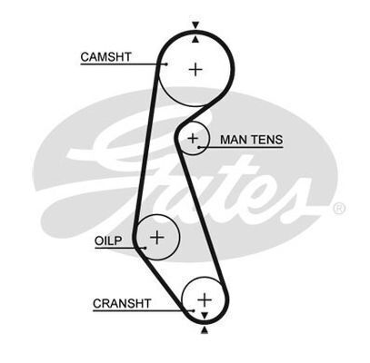 Timing Belt  Gates T085
