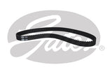 PowerGrip Belt