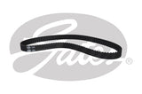PowerGrip Belt