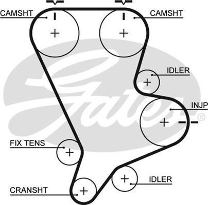 Timing Belt