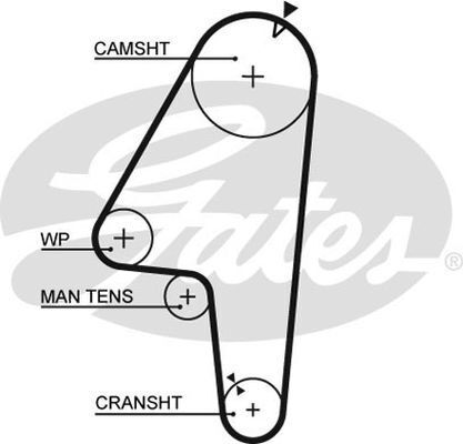 Timing Belt