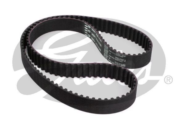 Timing Belt