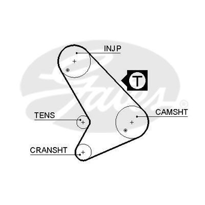 Timing Belt