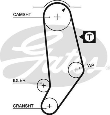 Timing Belt