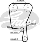 PowerGrip Belt