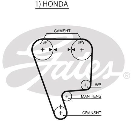 Timing Belt Gates T142