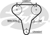 Timing Belt