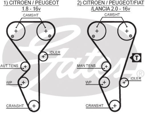 Timing Belt Gates T1504 For CITROEN XANTIA XM XSARA PEUGEOT 306 406 605