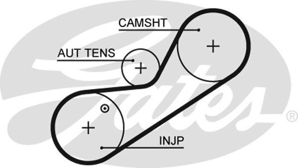 Timing Belt