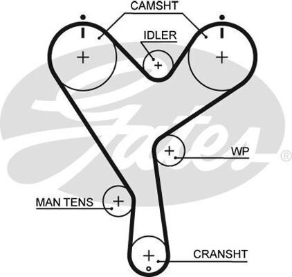Timing Belt Gates T157