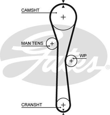 Timing Belt T1577