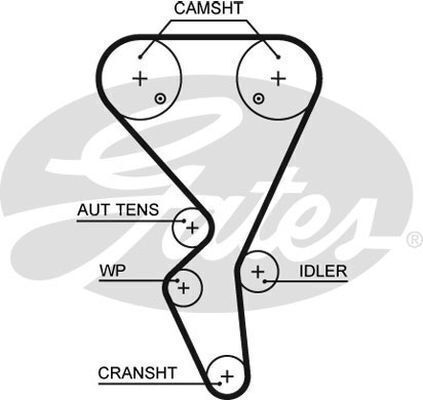 Timing Belt Gates T1581 For CITROEN PEUGEOT