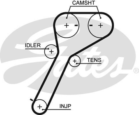 Timing Belt Gates T1601 For FORD MAZDA – The Car Parts Shop