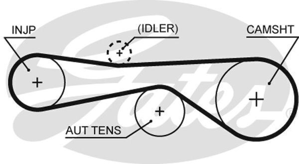 Timing Belt Gates T1606 for Audi A4 8ED, B7 Avant TDI quattro 3.0 Diesel-T BKN