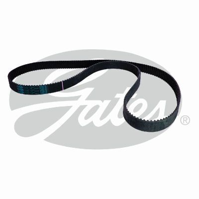 PowerGrip Belt