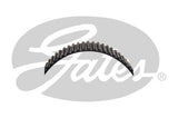 Timing Belt