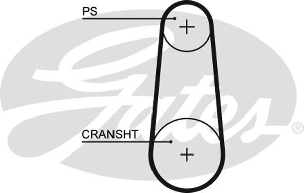 Timing Belt
