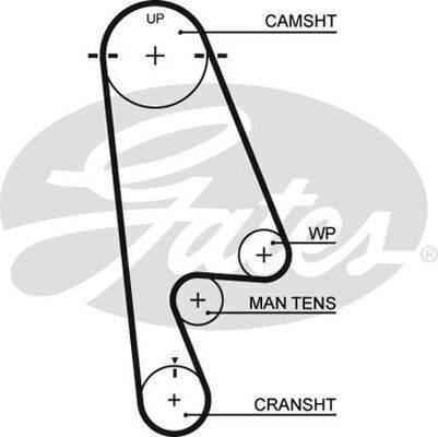 Timing Belt Gates T244 For HONDA ACCORD ODYSSEY
