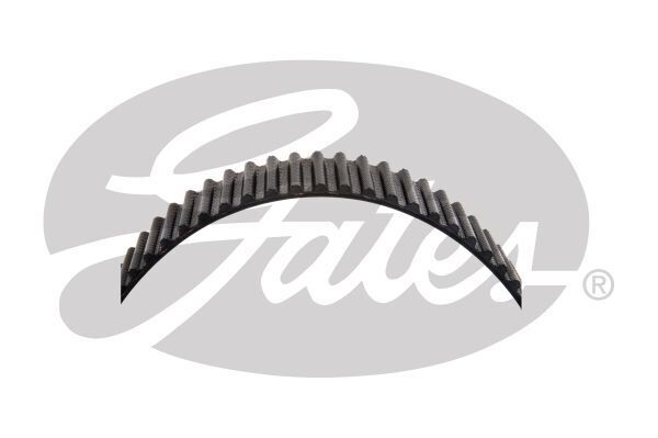 Timing Belt