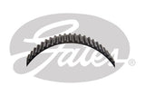 Timing Belt
