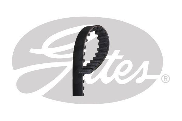 Timing Belt