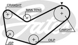 Timing Belt Gates T299