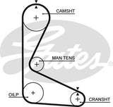 Timing Belt