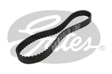 Timing Belt