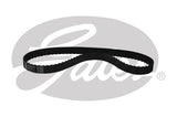 PowerGrip Belt