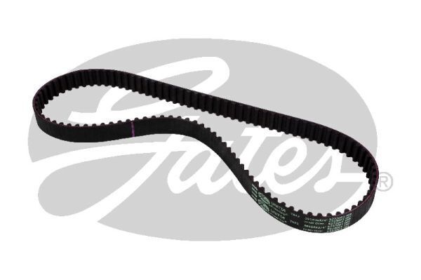 PowerGrip Belt