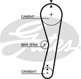 Timing Belt