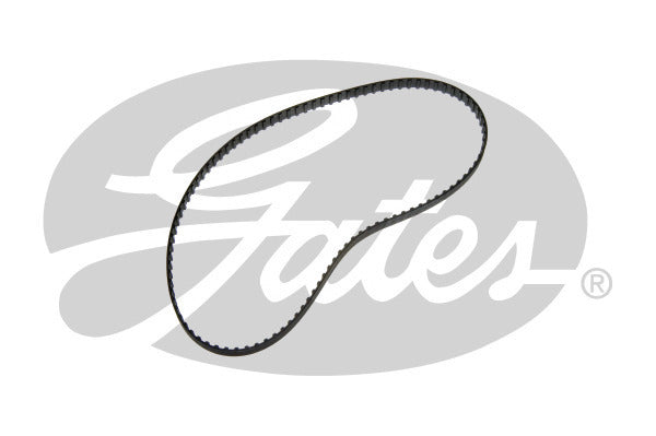 Timing Belt