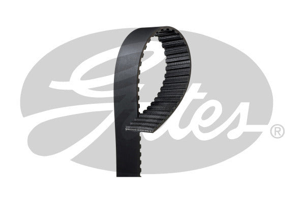 Timing Belt