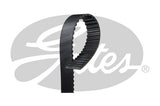 Timing Belt