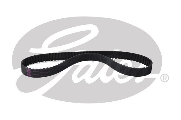 PowerGrip Belt